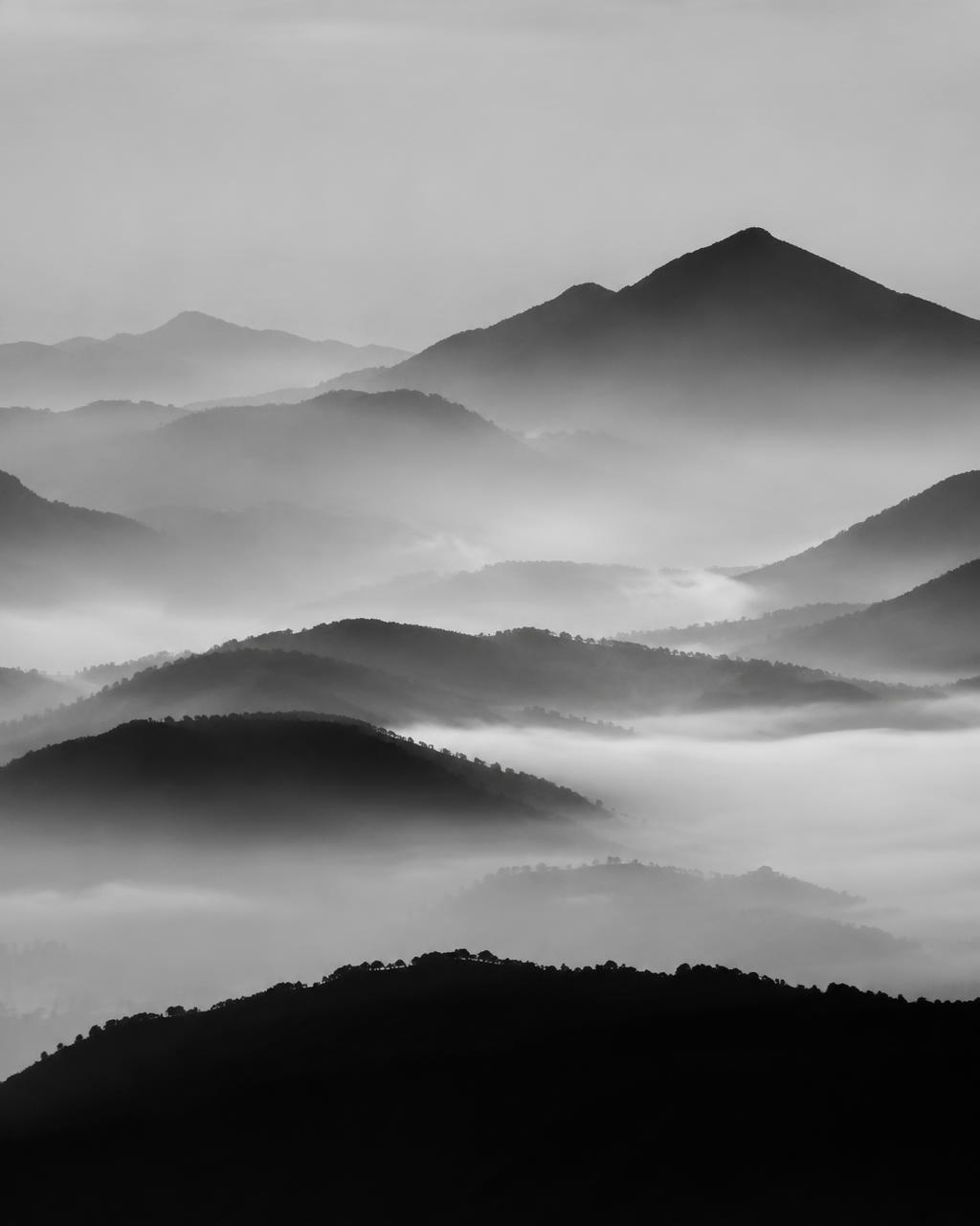 Ridgeline No. 4